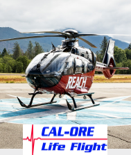 LifeFlight Logo