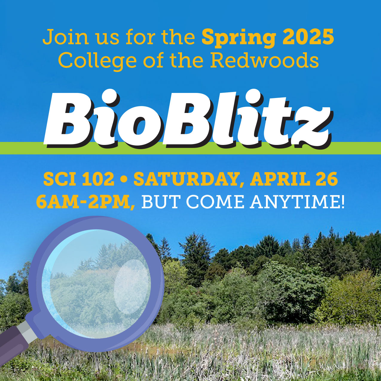 magnifying class over the redwoods