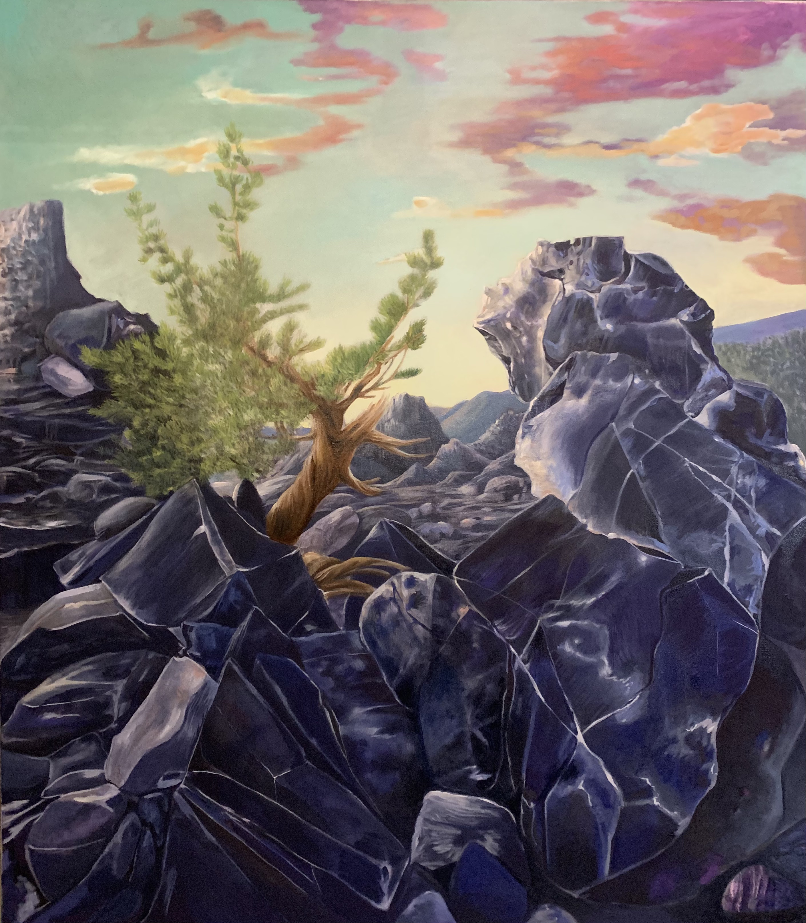 tree growing from rocks